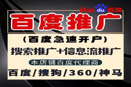 成功秘诀：竞价推广公司案例深度解析